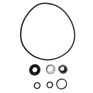 Wet End Seal Kit - Paichi 4500i