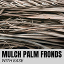 Mulch Palm Fronds