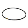 BBT SP Drive Belt