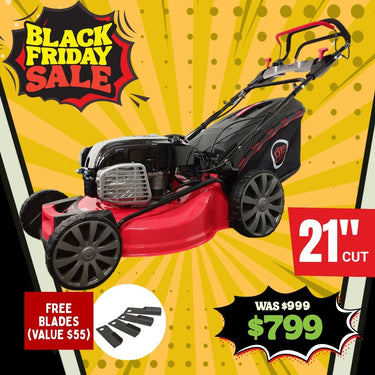 BBT 21" Self-Propelled 4-Speed Briggs & Stratton Electric Start Lawn Mower