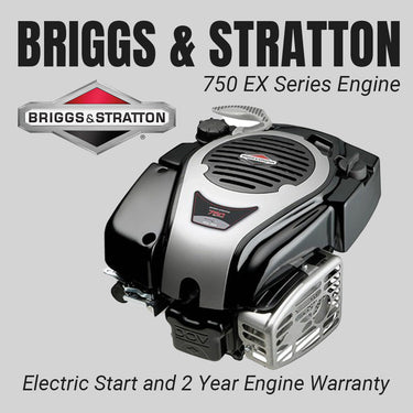 Briggs and Stratton