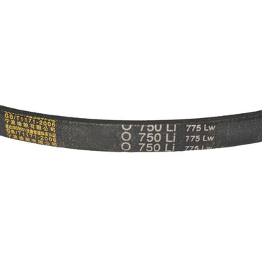 BBT Commercial Cultivator Tiller Reverse Belt (2011 to 2024)