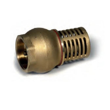 Foot Valve Non-Return Brass – 1" (25mm)