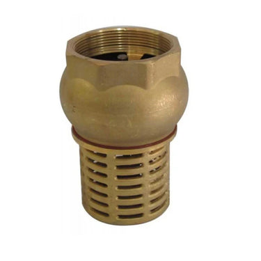 3" Brass Foot Valve, Non-Return with Alloy Hose Tail